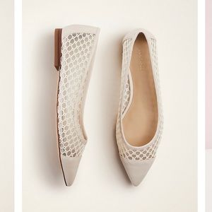 Ann Taylor - Shireen Mesh Flats - 9